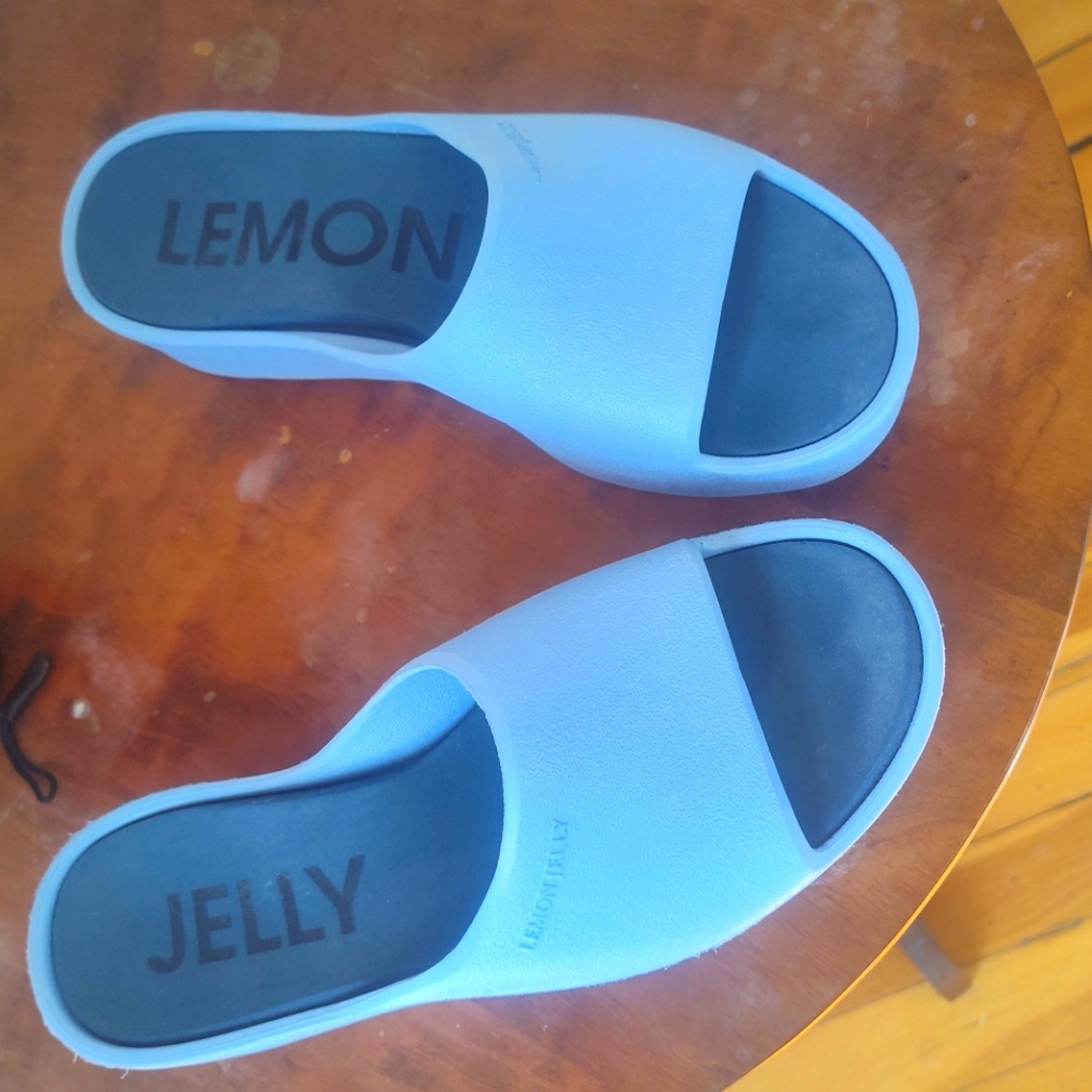 Lemon Jelly Slide Sandals in baby blue